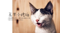 ✧٩(ˊωˋ*)و✧属于你的幼猫系女友-KilaKila直播