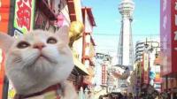南慕是你的小太阳~-KilaKila直播