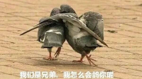 果回的直播间-KilaKila直播