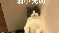 年底了救救孩子吧……-KilaKila直播