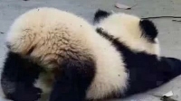 说好的学习呢-KilaKila直播