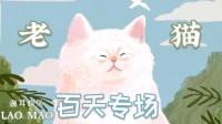 猫猫百天了-KilaKila直播