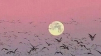 ……-KilaKila直播