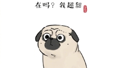 失眠么,不要进,会不开心的