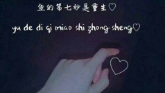 鱼的第七秒是重生,那你呢