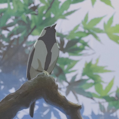 122-克拉克拉直播