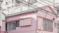 寺律.🐬的直播间-克拉克拉直播