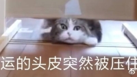 我们来尬聊一下-克拉克拉直播