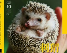 不卖刺猬 专心卖书——一起来看《博物》10月刊
