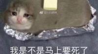我菜怎么了!我搞笑啊!-KilaKila直播