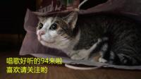 没有主题但是很好玩-KilaKila直播