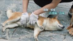 向往的生活���