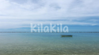 征婚找男人了-KilaKila直播